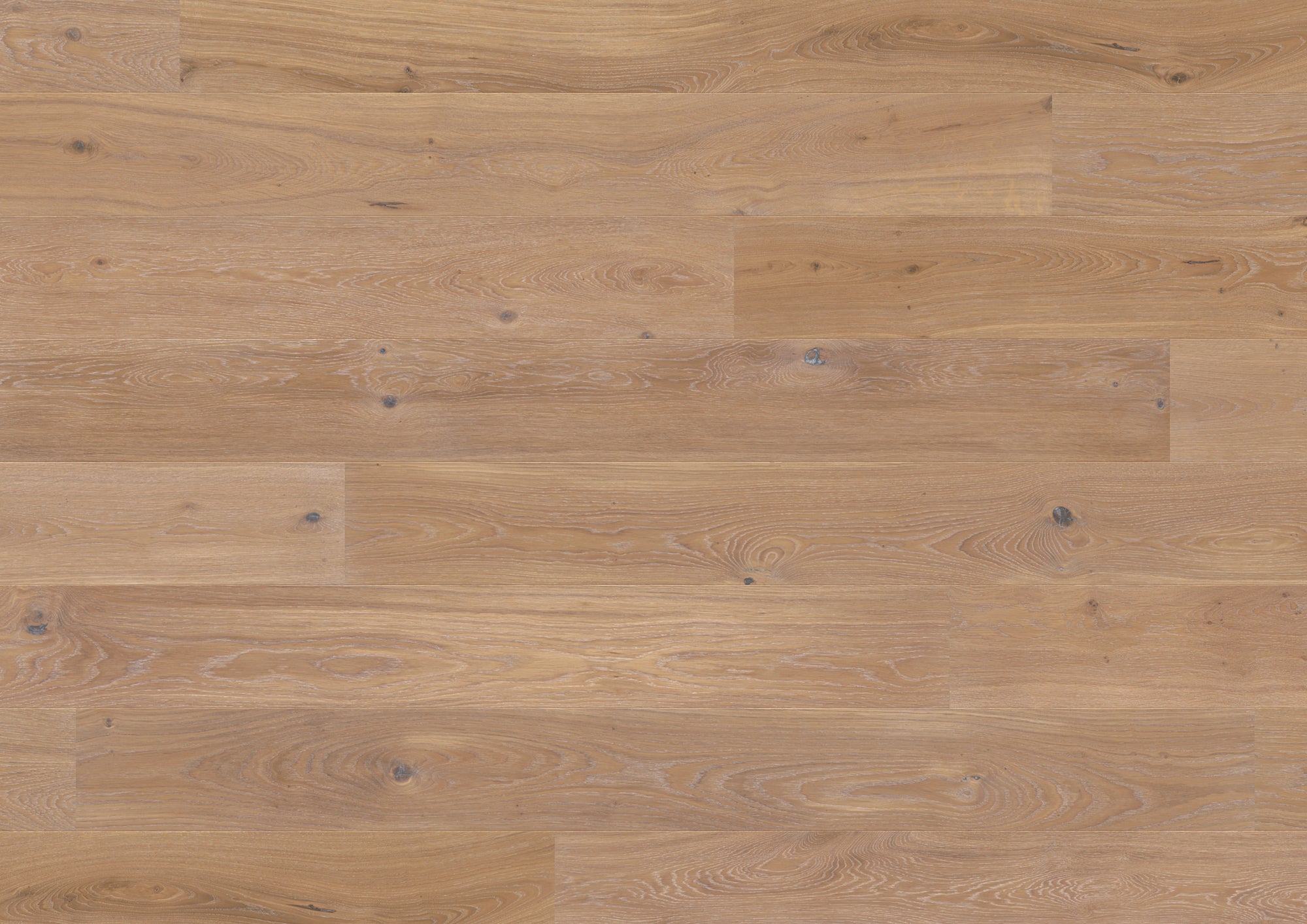 Brody Oak Sienna