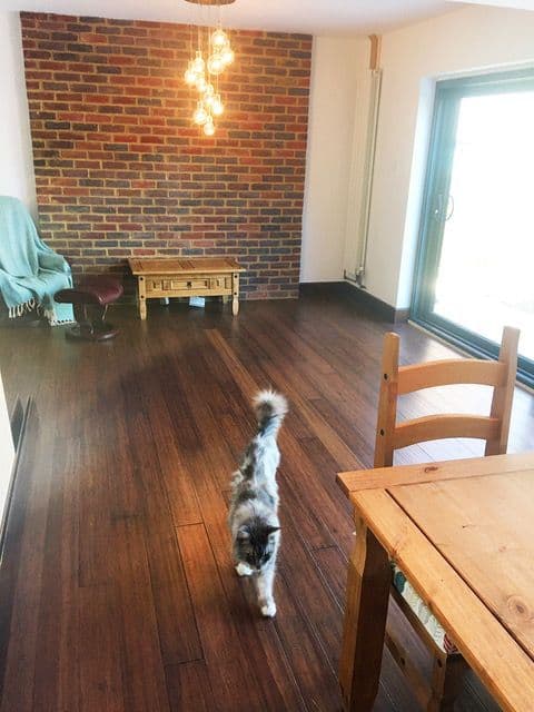 BRANDY WINE STRAND WOVEN SOLID BAMBOO FLOORING UK19017