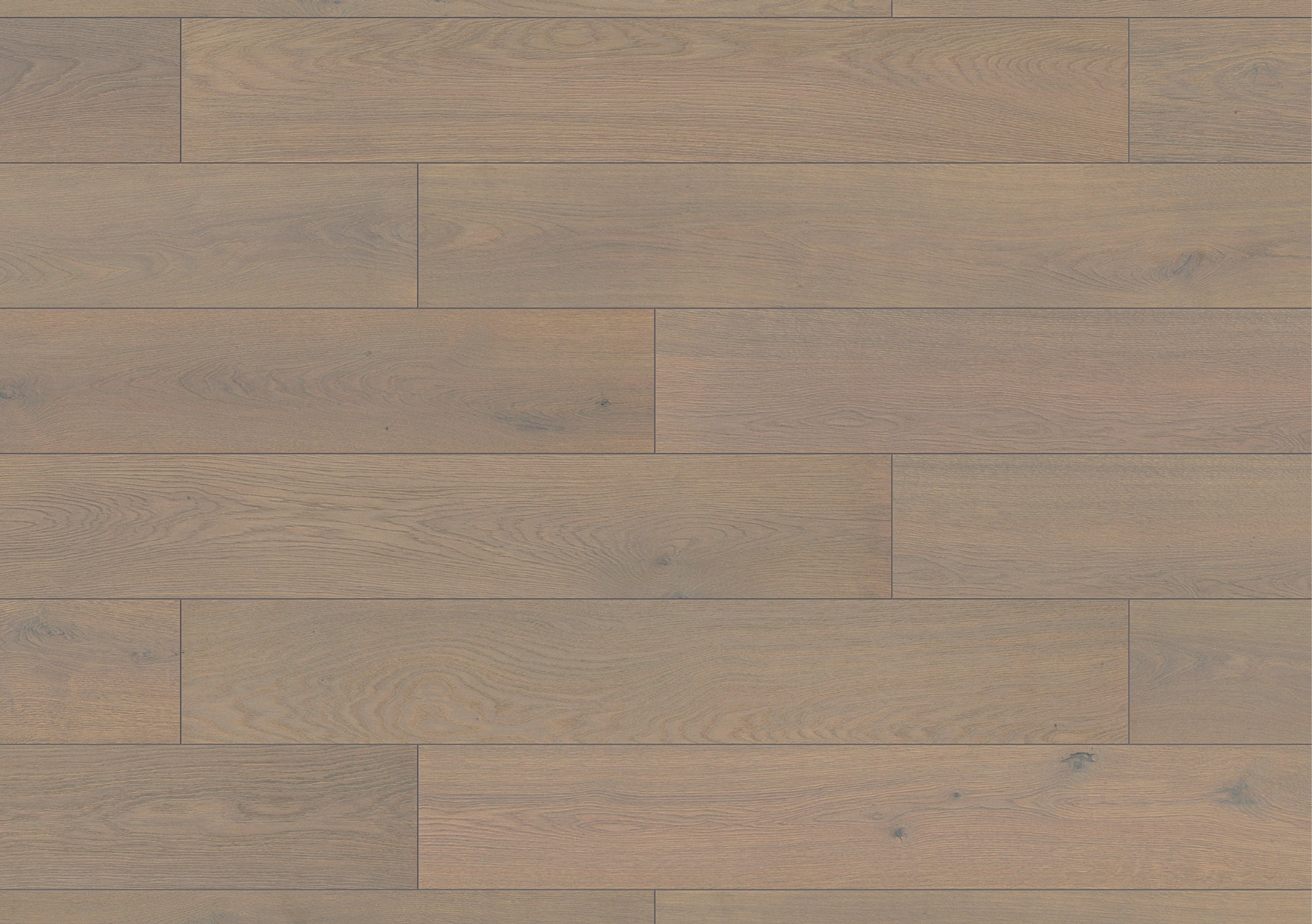 copper & oak